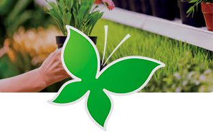 Odoo - Echantillon n°1 pour trois colonnes 