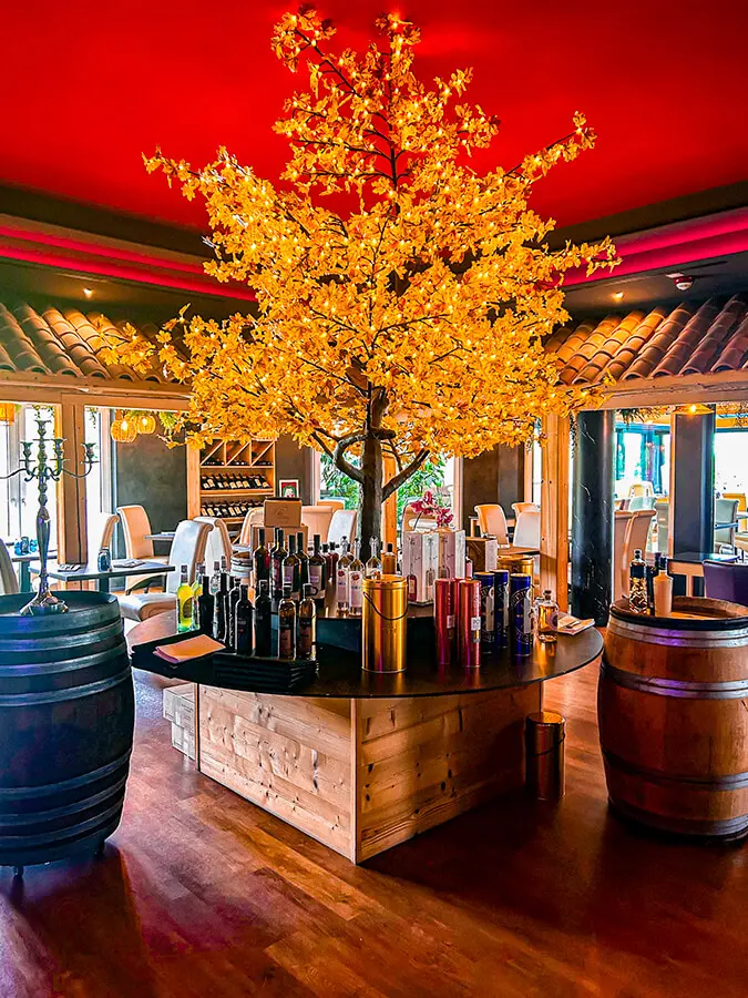 Installation caisse enregistreuse restaurant Va Sano