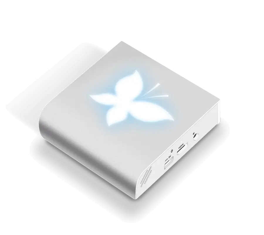 Crisalid Box