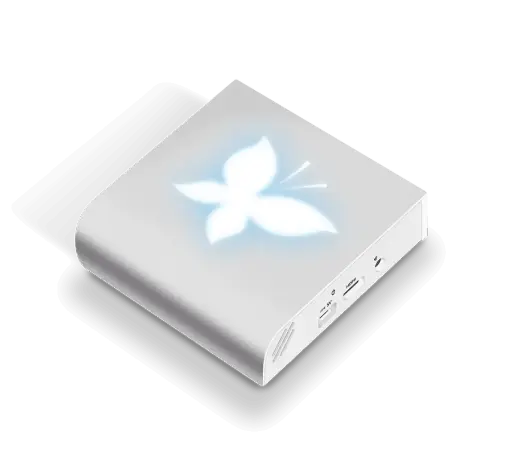 Crisalid Box