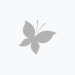 Licence Cash Manager
